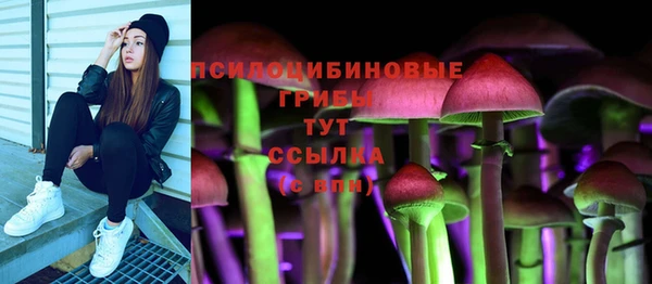 mix Верея