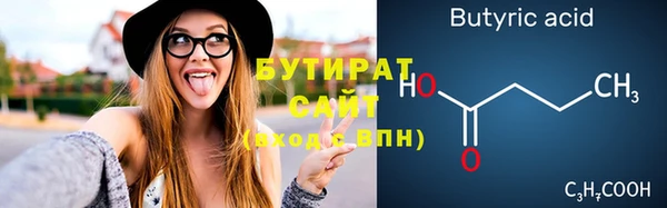 индика Володарск