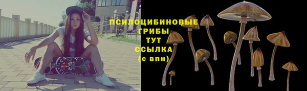 spice Волоколамск