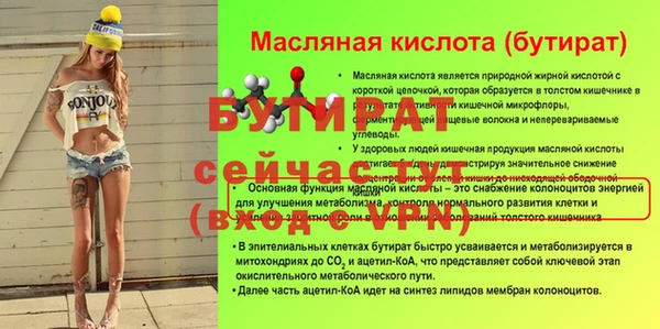 индика Володарск