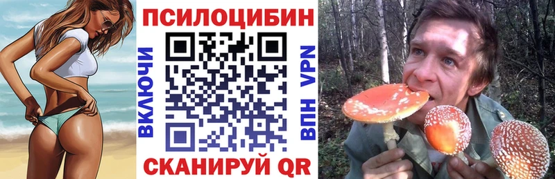 KRAKEN как войти  площадка какой сайт  Галлюциногенные грибы Psilocybe  наркошоп  Чёрмоз 