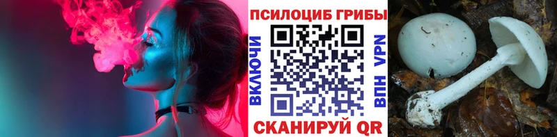 Галлюциногенные грибы прущие грибы Чёрмоз